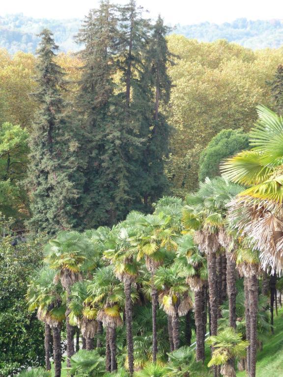 Hotel Le Postillon Pau Dış mekan fotoğraf